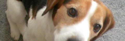 edomae327's profile banner image