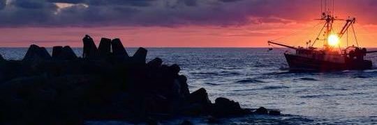 Tracy Connelly banner