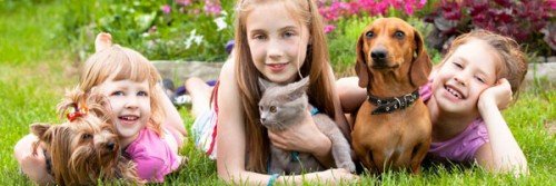 CatDogTogether's profile banner image