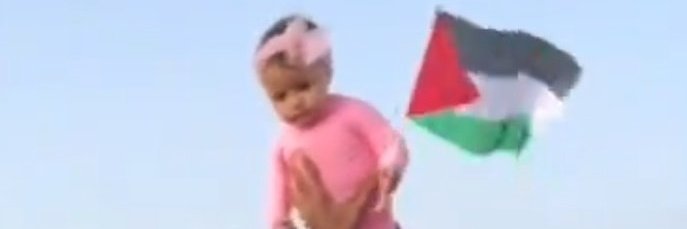 #boycottfrance banner