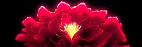 M4rtinez banner