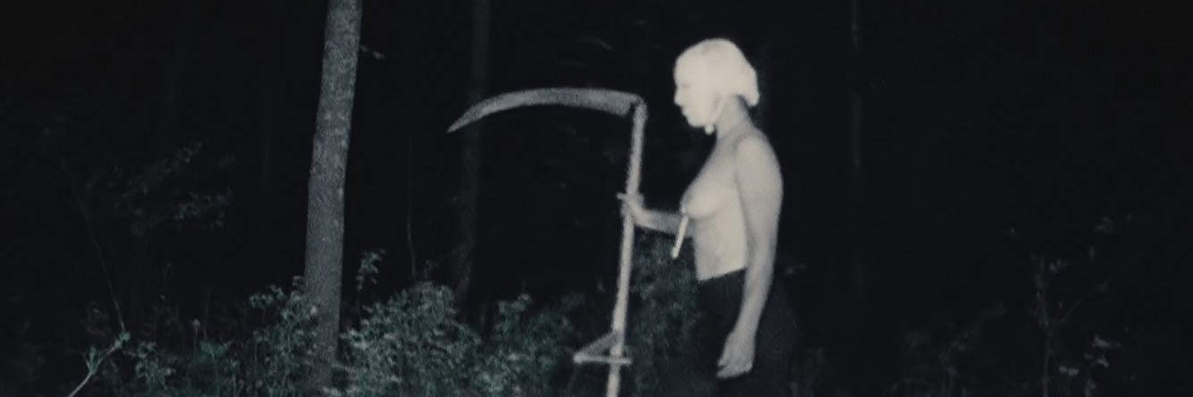 pinjed's profile banner image