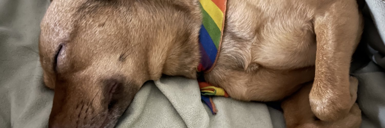 cosimads's profile banner image