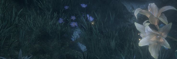 Xlisarea's profile banner image