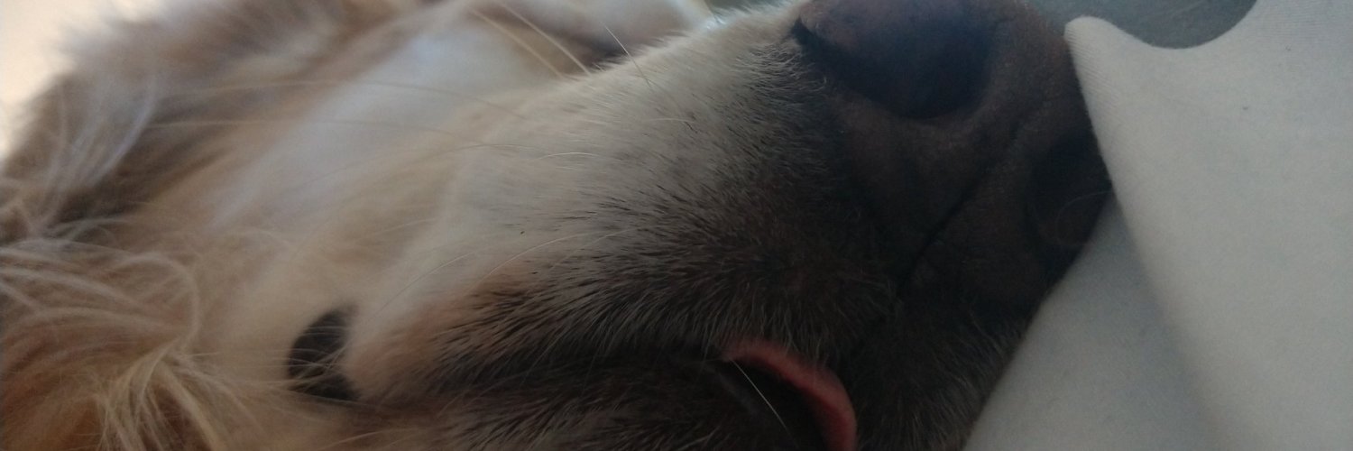 Ryedog_'s profile banner image