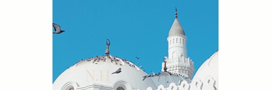 nadiarhalida's profile banner image