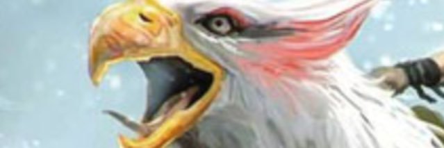 Rogiel1981's profile banner image