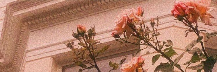 Mrymalh7's profile banner image