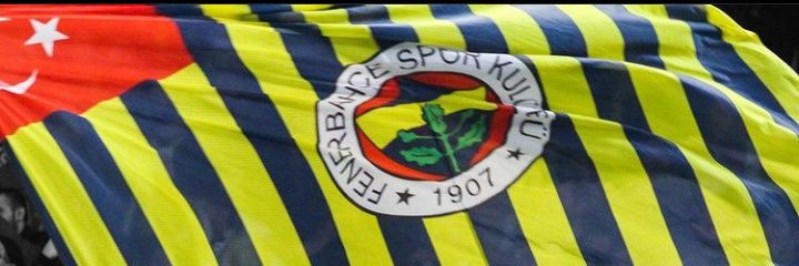 knnlm's profile banner image