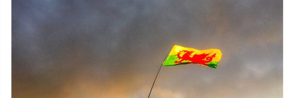olbil Profile Banner