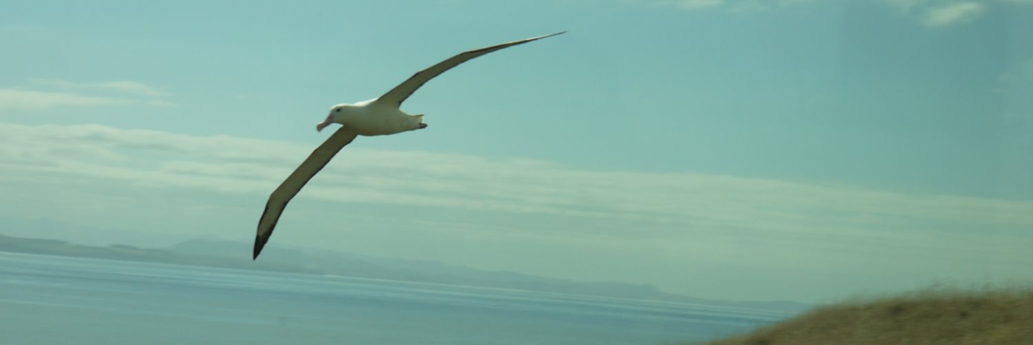 SteamlocoRon's profile banner image
