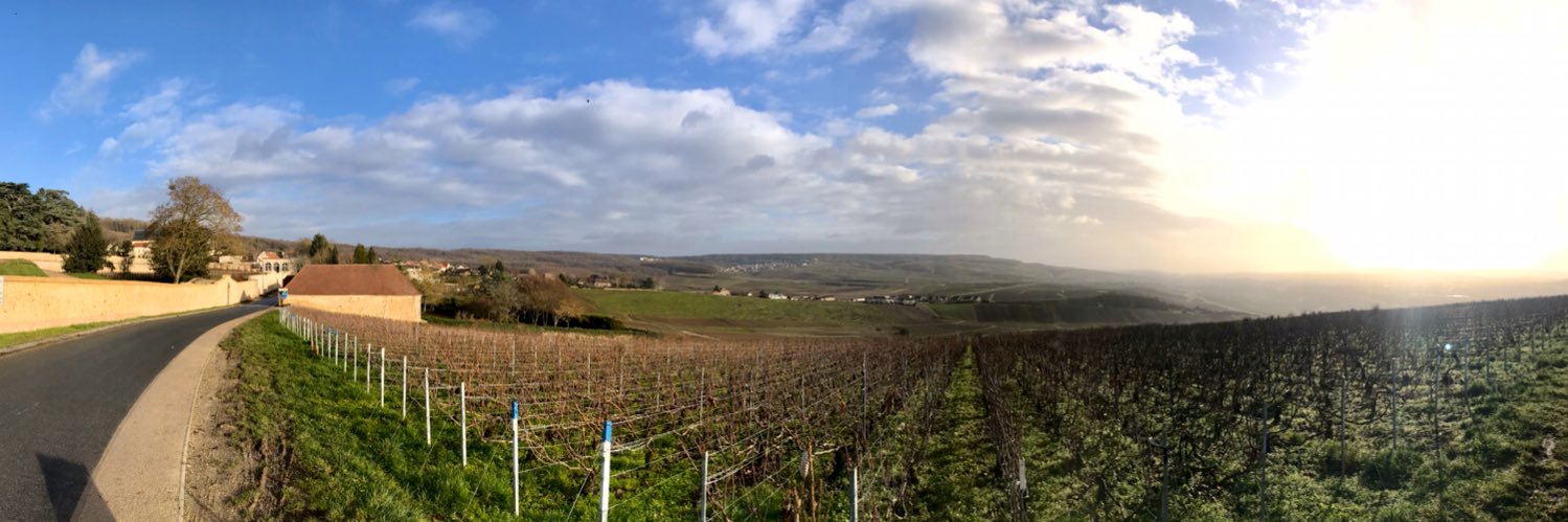 Tim Theunissen banner