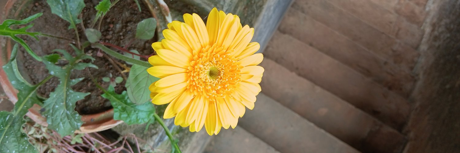 SarmaTridib's profile banner image