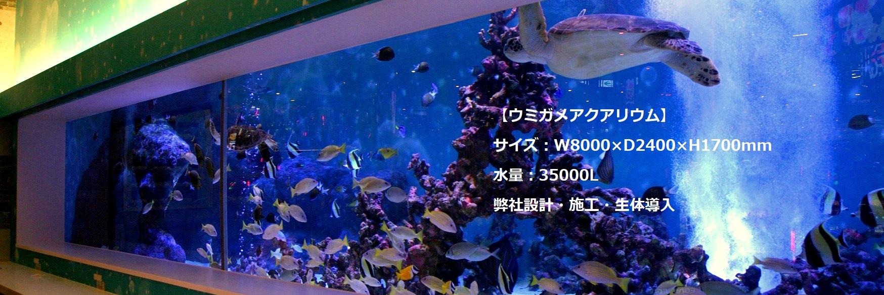 guppyen's profile banner image