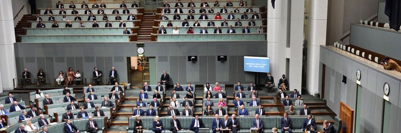 Taleen Shamlian 🧜🏼‍♀️ banner