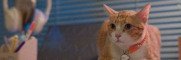 teletaurbby Profile Banner