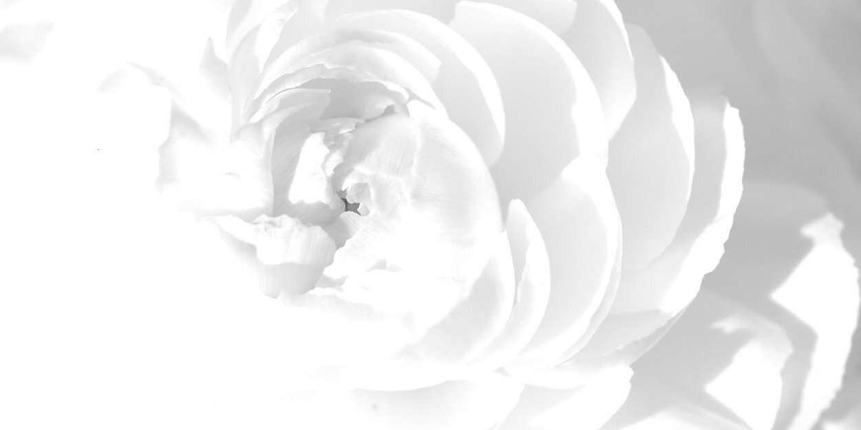 mariiadevi's profile banner image