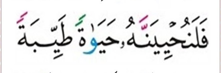 salhammadi3's profile banner image