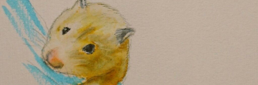 ham_tsukune's profile banner image