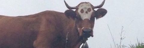 Moist_Goth's profile banner image
