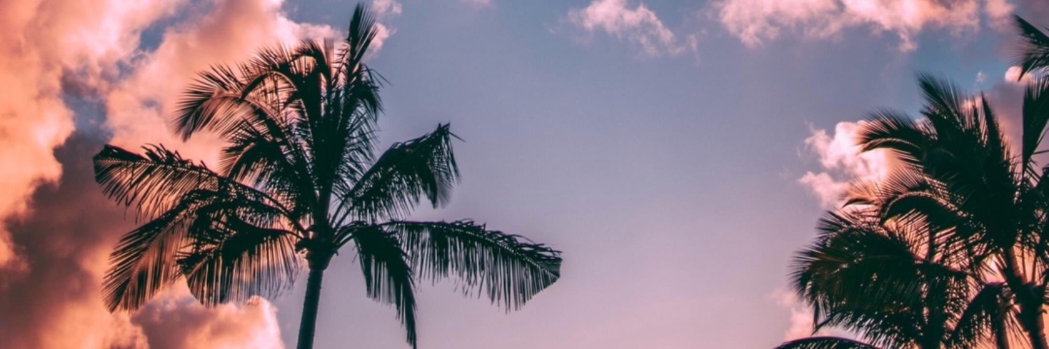 🇺🇸 MOMEYE 🇺🇸 banner
