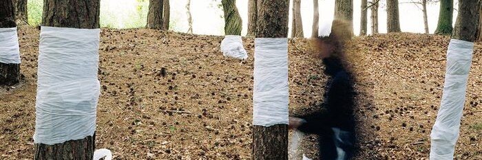 sebsploit's profile banner image