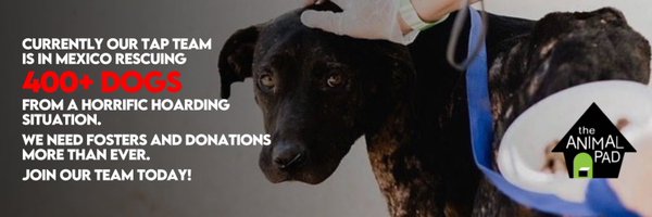 TheAnimalPad Profile Banner