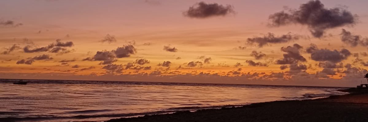 juliasschez's profile banner image