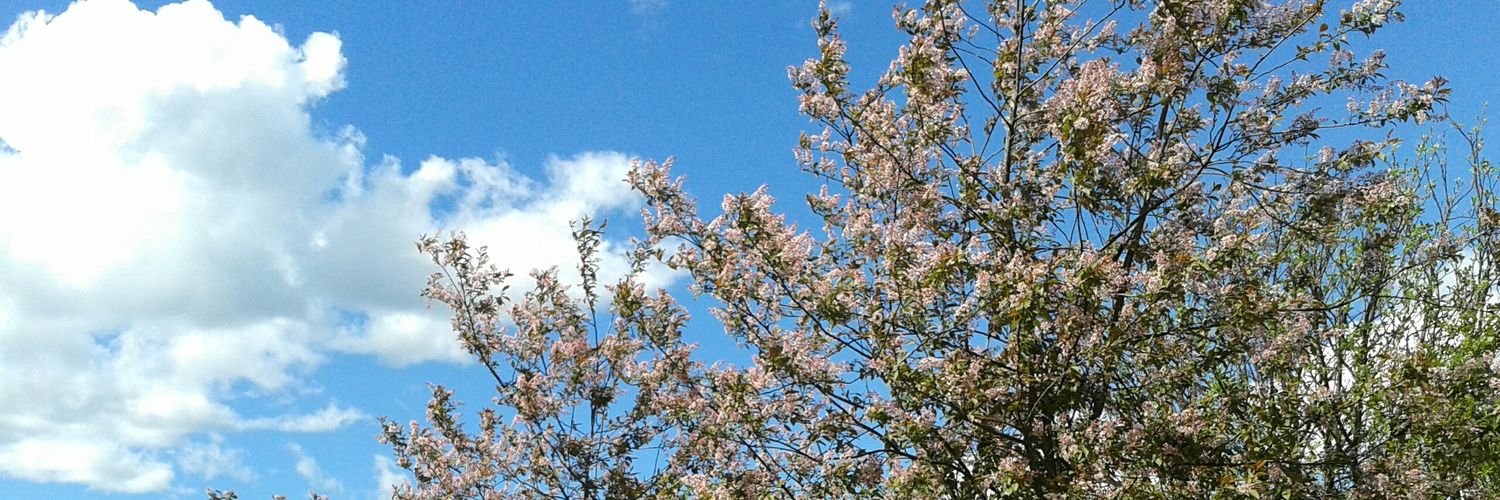 JenniMerilainen's profile banner image