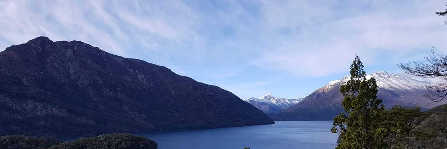 daniel camargo banner