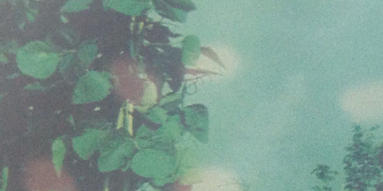 emimo3's profile banner image