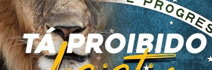 dri_ohara's profile banner image