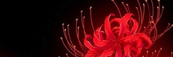_chernobyI_'s profile banner image