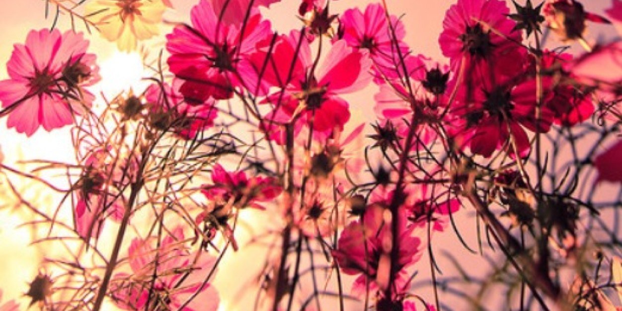 abel_amelie's profile banner image