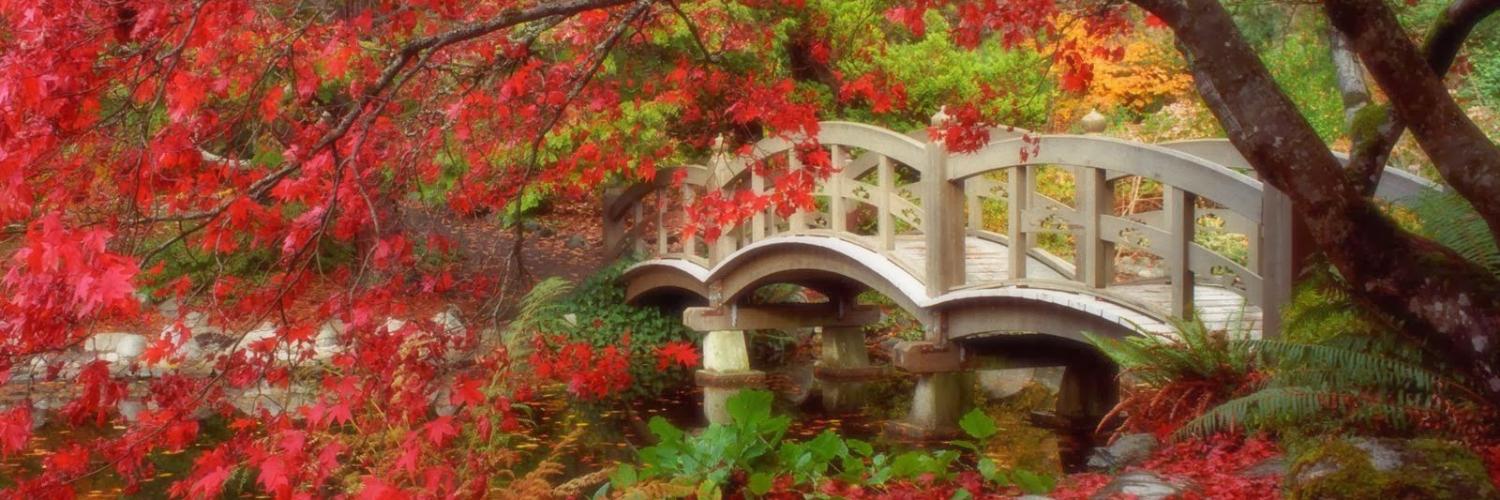_greenmaple's profile banner image