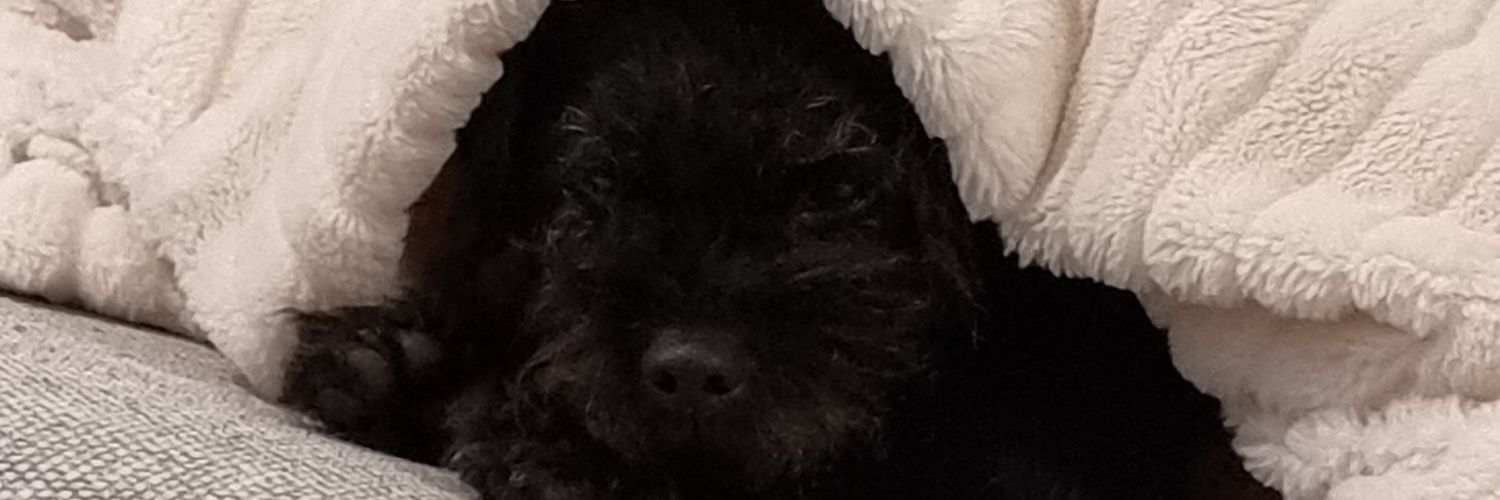sheryllc89's profile banner image