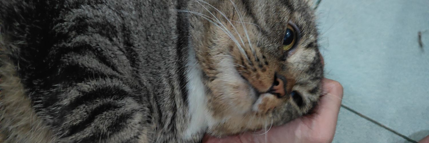 Ⱥddien | SpektrumTCG banner