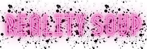 Reality Soup banner