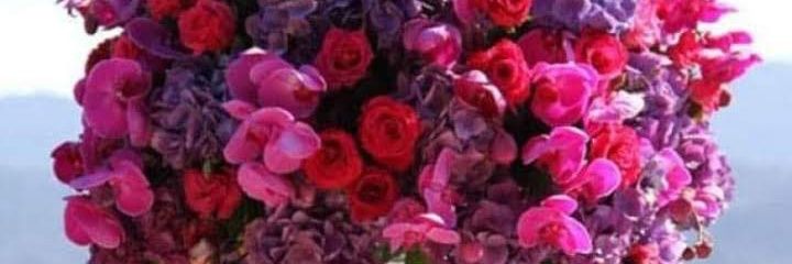 Namrataace's profile banner image