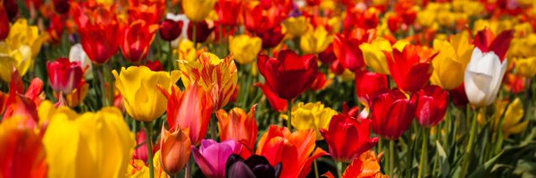 mikemac29 Profile Banner