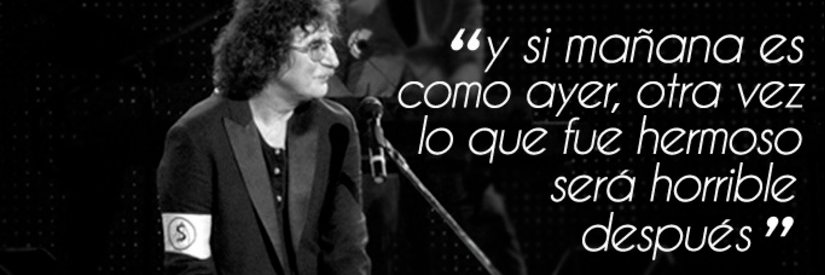 Daniela Cutrini banner