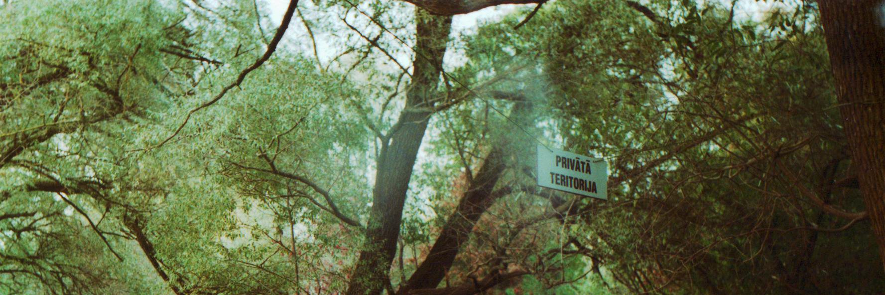 Edžus Miķelsons banner