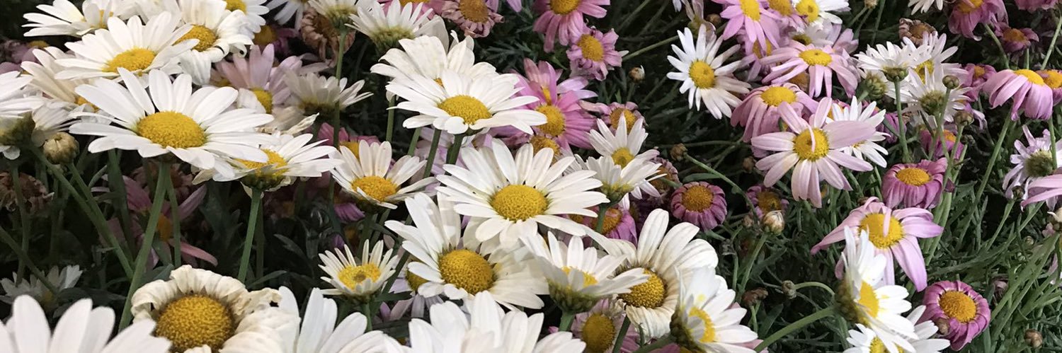 EF5757's profile banner image