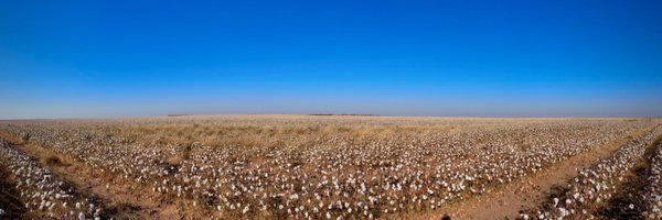 4CatRanch Profile Banner