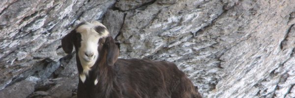 MarkusWagnerAT Profile Banner