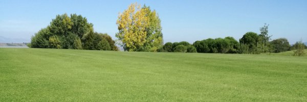 MotaXavi Profile Banner