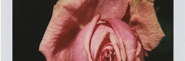 Kristen_Neillie's profile banner image