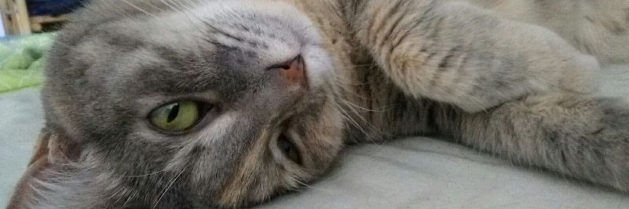 @retrodev@eldritch.cafe banner