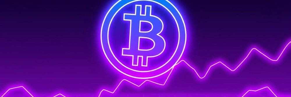 BitwebNet's profile banner image