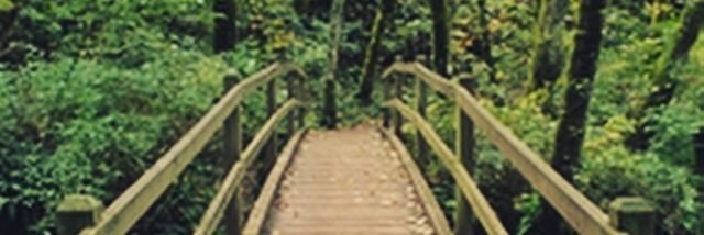 WiillMi's profile banner image